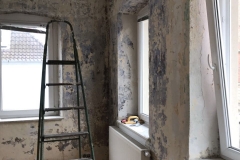 bild1